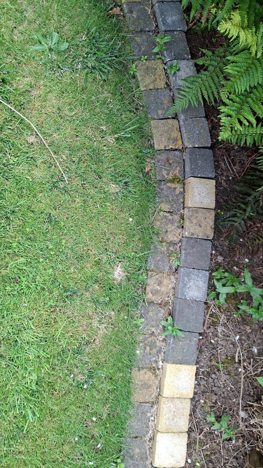 Gratis klinkers 10cm op 10cm, Ophalen