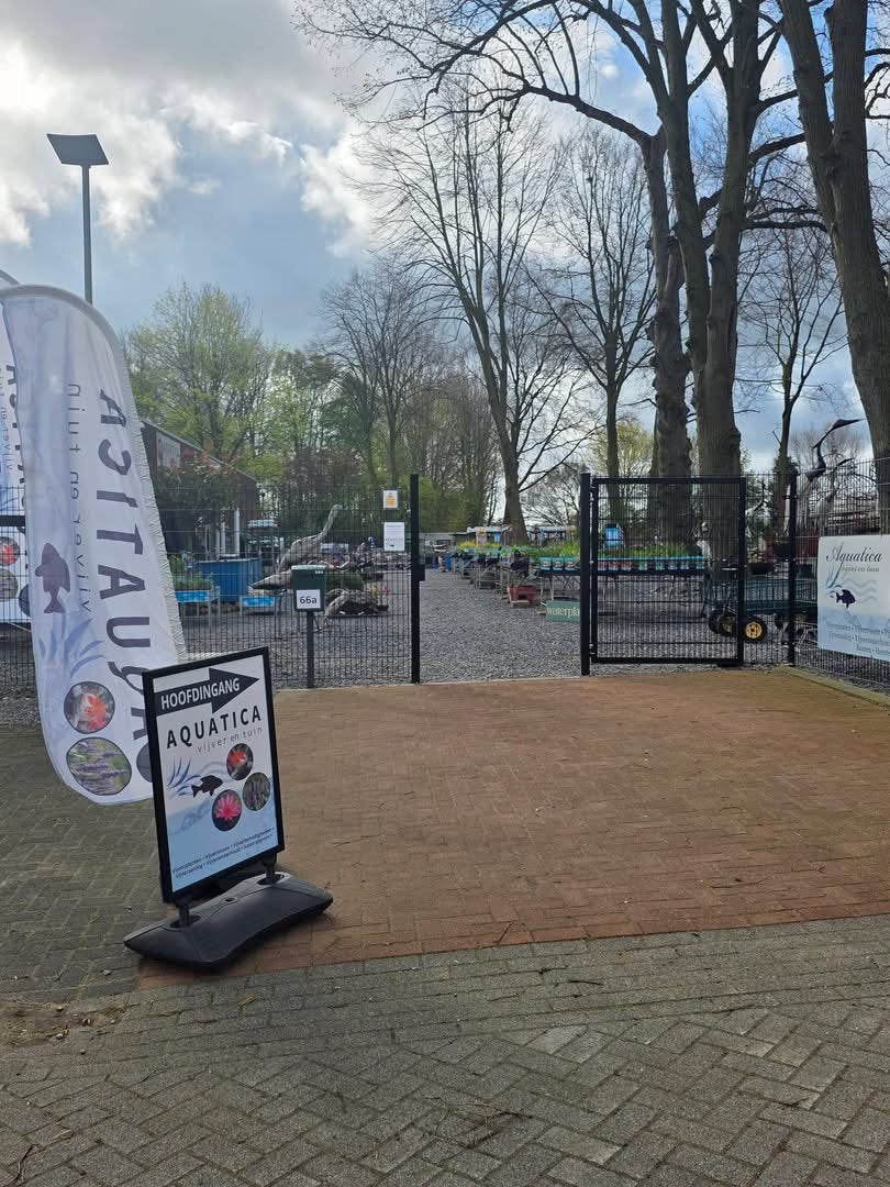 Zuurstofplanten in kant en klare vijvermanden (NL), Ophalen