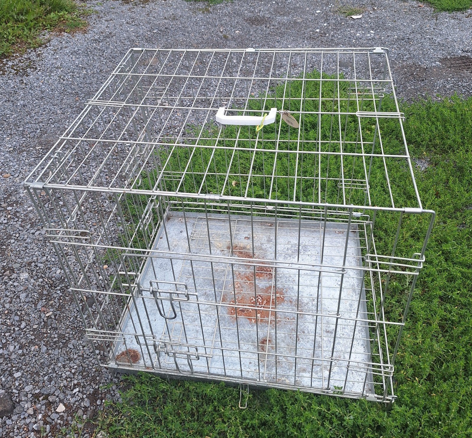 Cage chien chat, Enlèvement