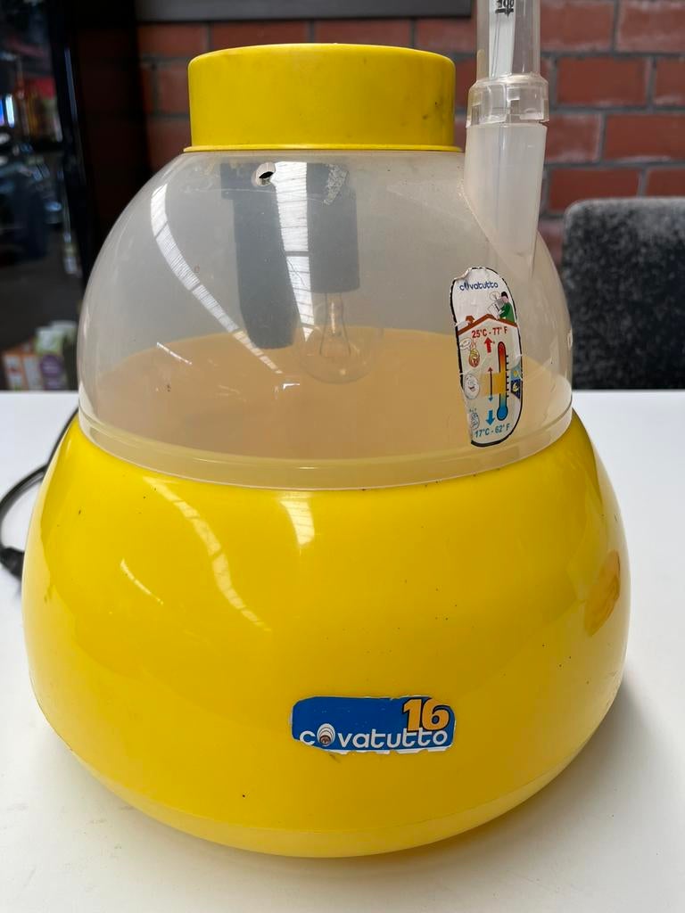COVATUTTO 16 Broedmachine, Ophalen, Zo goed als nieuw, Broedmachine