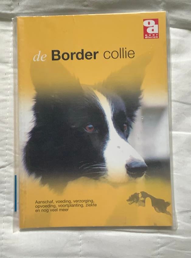 De Border Collie nieuw, Enlèvement, Neuf, Chiens