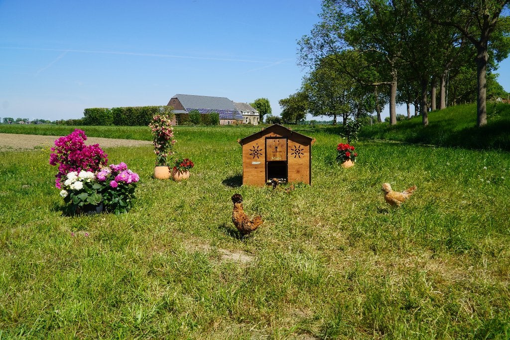 Trespa Kippenhok Cucciolotta | Chalet L, Enlèvement ou Envoi, Neuf, Poulailler