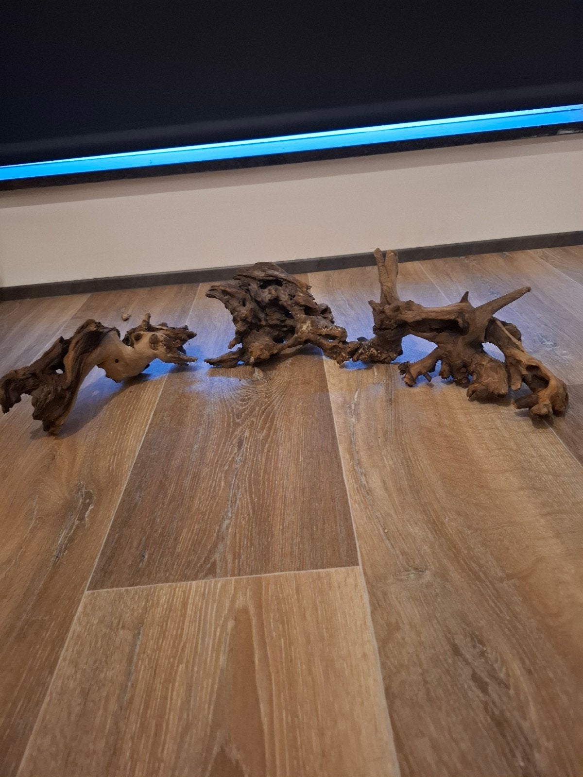 Aquariumhout te koop, Enlèvement