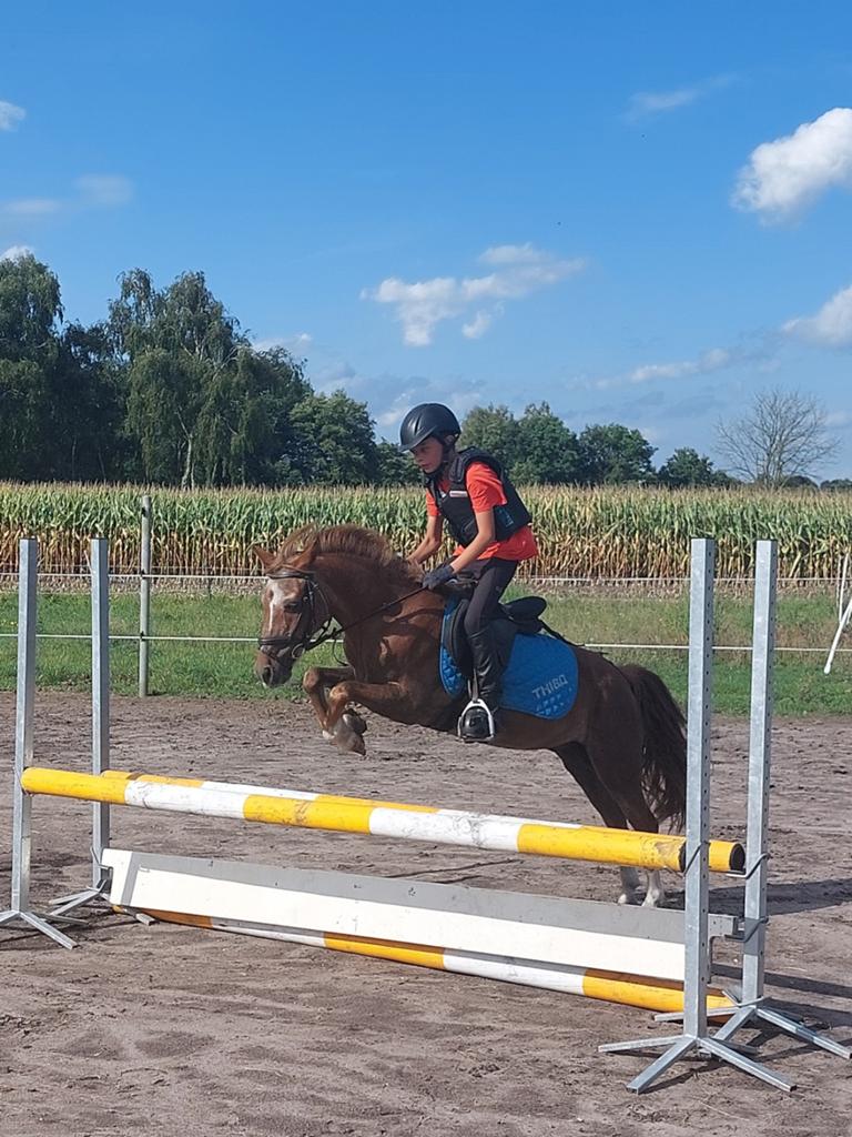 Welk ruitertje rijdt er verder met deze fantastische A pony, Dieren en Toebehoren, Pony's, Ruin