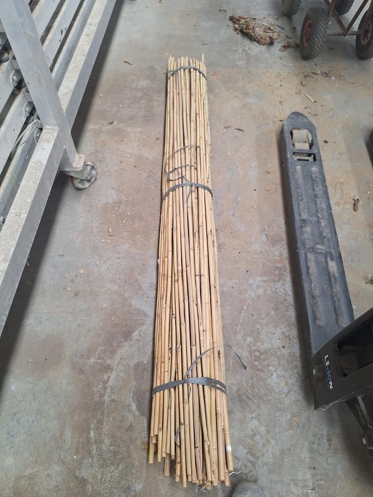 Bamboestokken nieuw, Ophalen