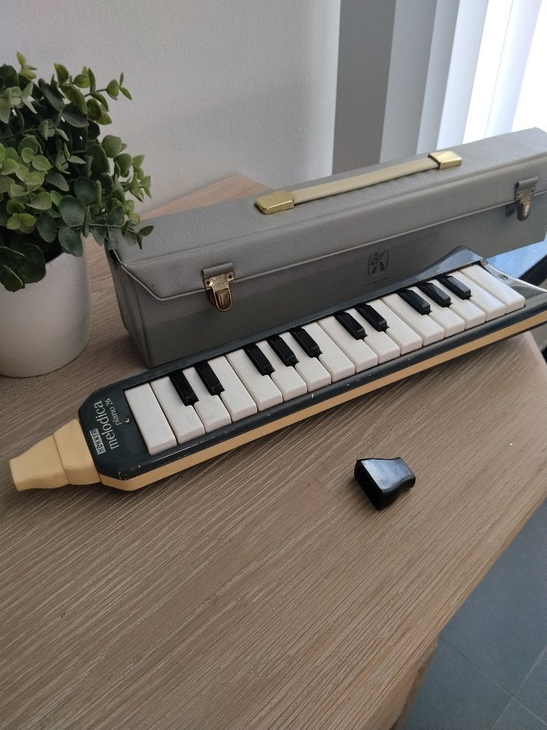 vintage Melodica Made in Germany Hohner, Muziek en Instrumenten, Ophalen of Verzenden, Zo goed als nieuw, Met koffer of doosje