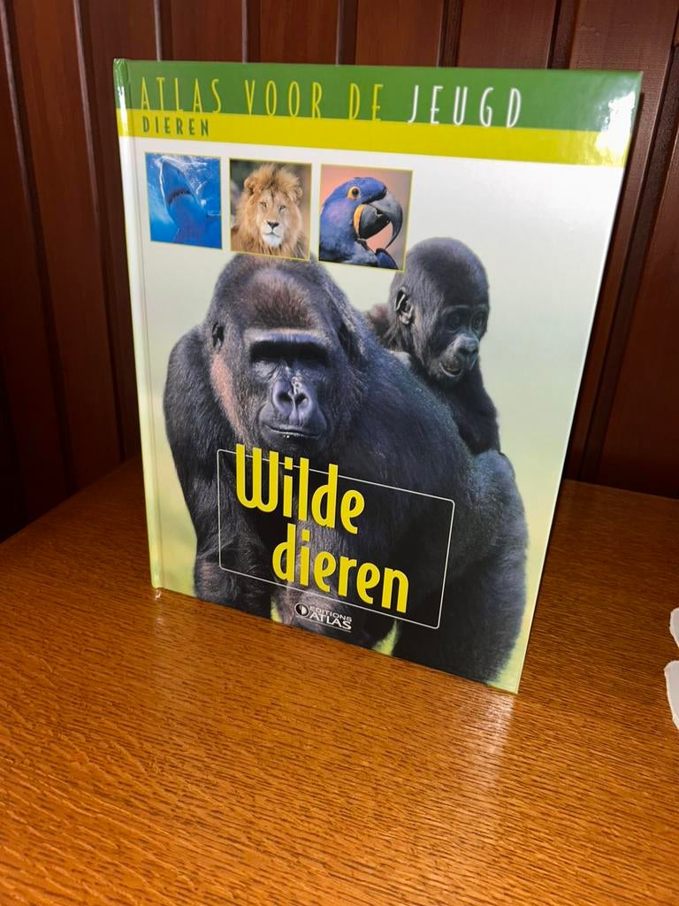 Atlas voor de jeugd, Boeken, Ophalen, Nieuw, België, Overige atlassen