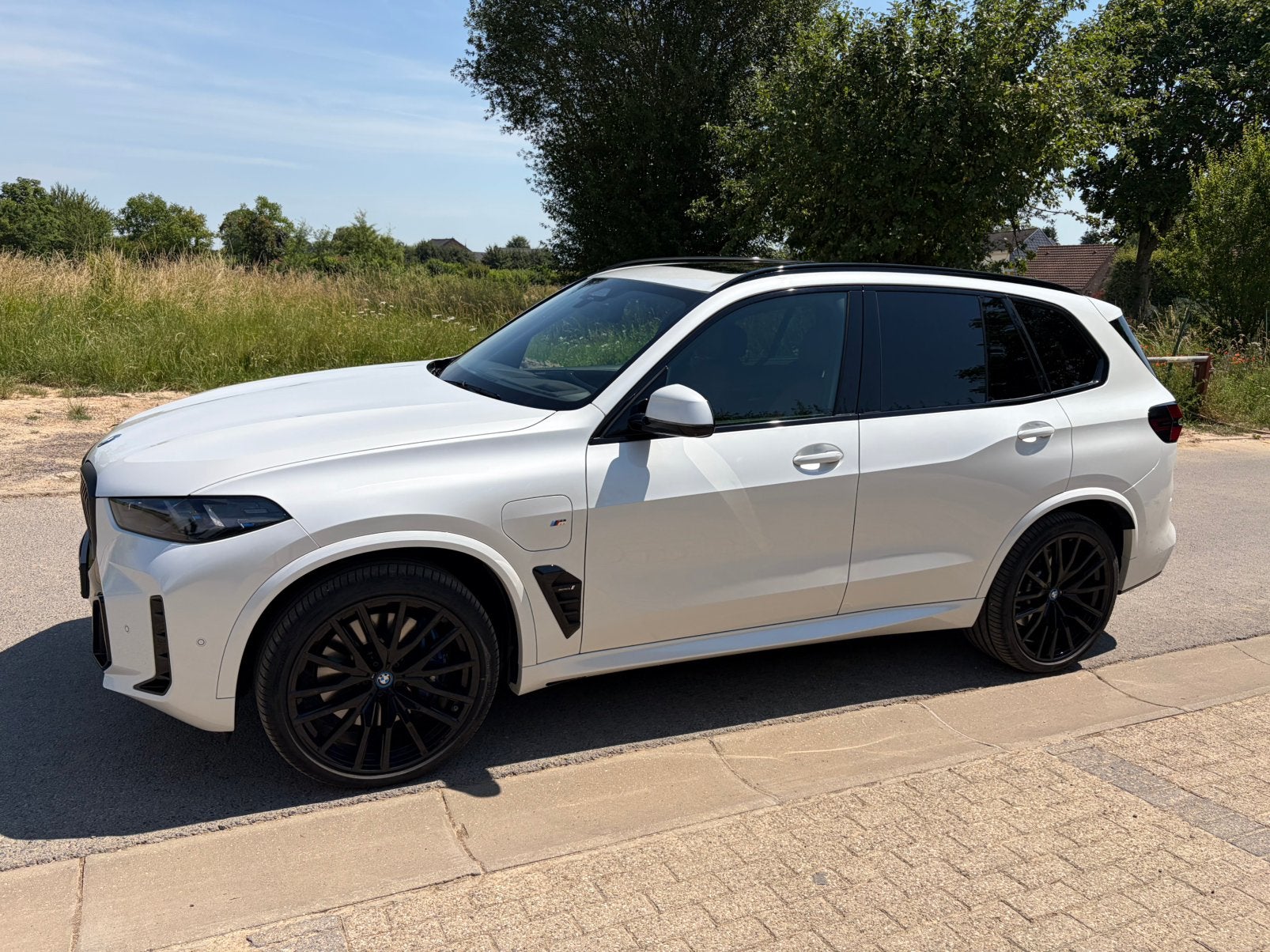 BMW X5 xDrive50e Hybride, Entreprise, Achat