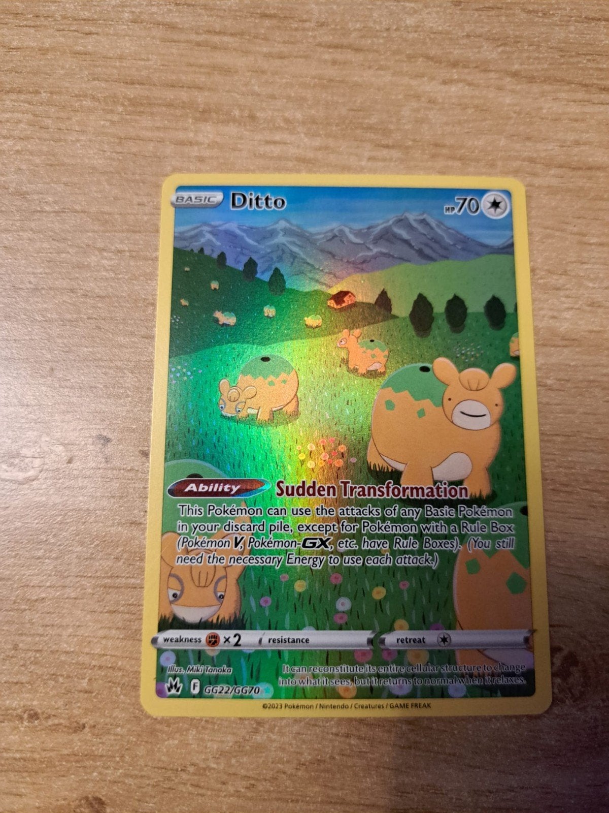 Ditto gg22/gg70, Enlèvement