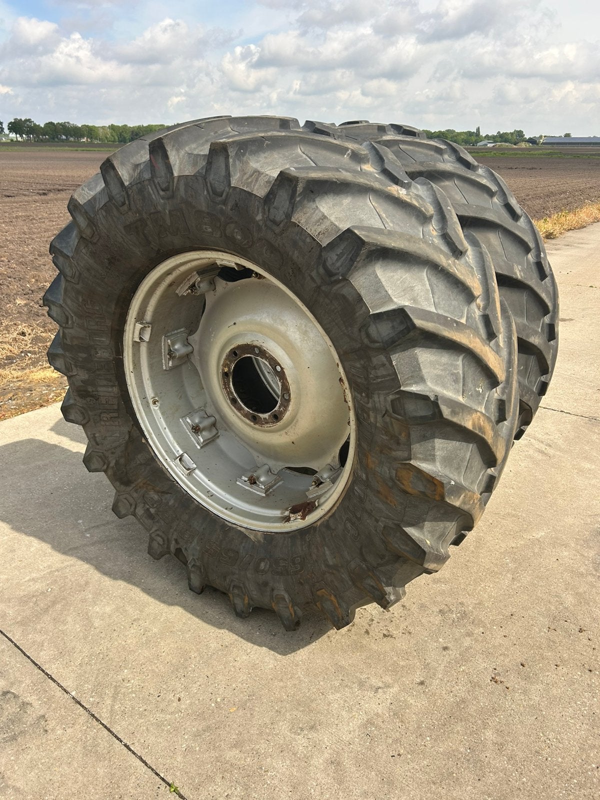 Trelleborg 650/65-38, Articles professionnels, Agriculture | Pièces | Pneus, Jantes & Essieux, Enlèvement