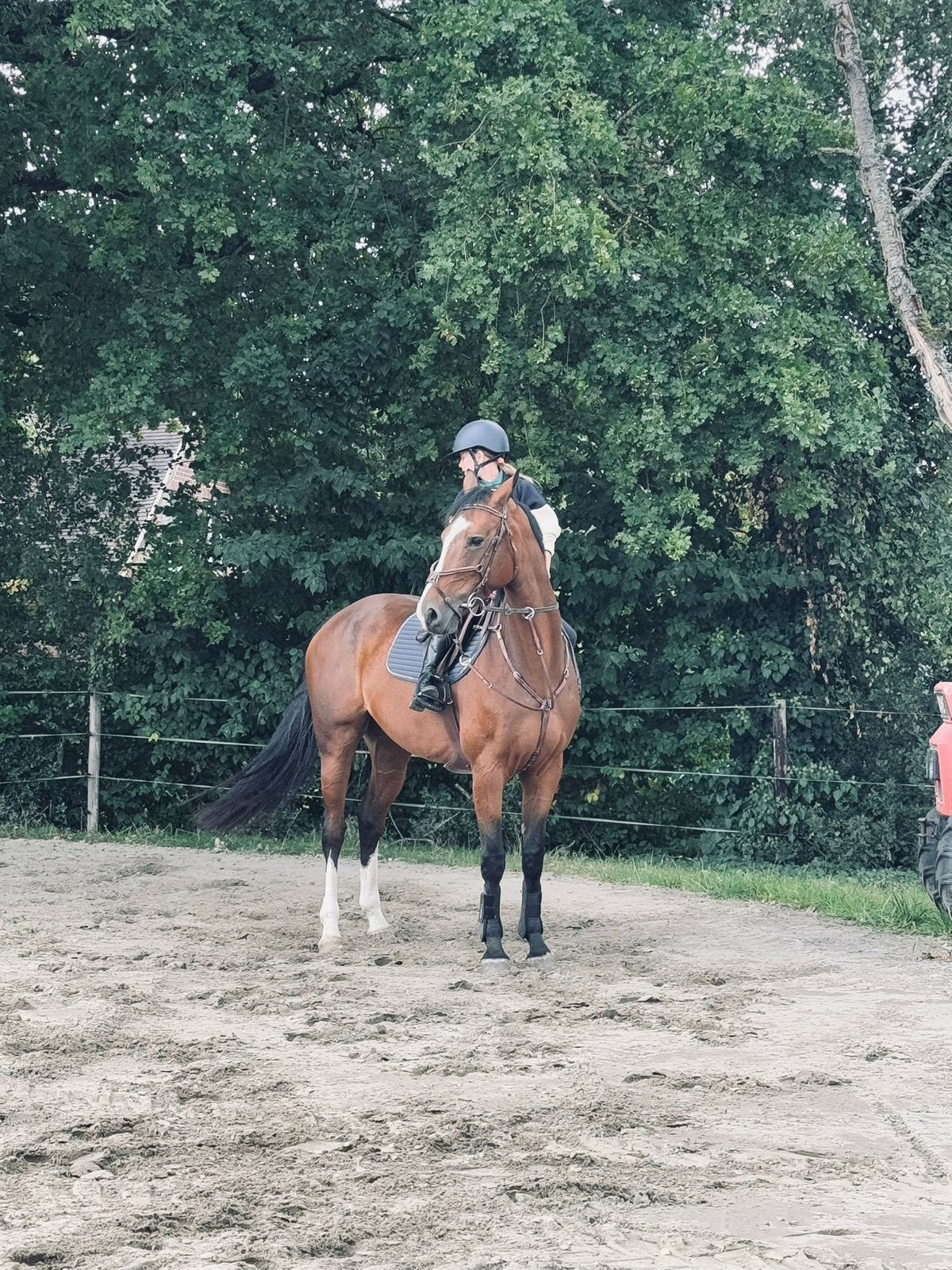 Cherche palfrenier nettoyage boxes chevaux., Animaux & Accessoires