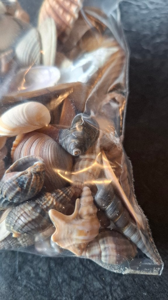 Sac de coquillages de 370 gr pour décorer, Overige materialen, Overige stijlen, Ophalen of Verzenden, Zo goed als nieuw
