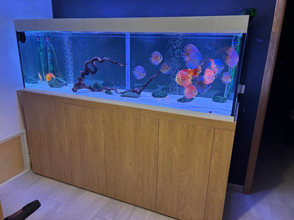 Grand aquarium, Ophalen