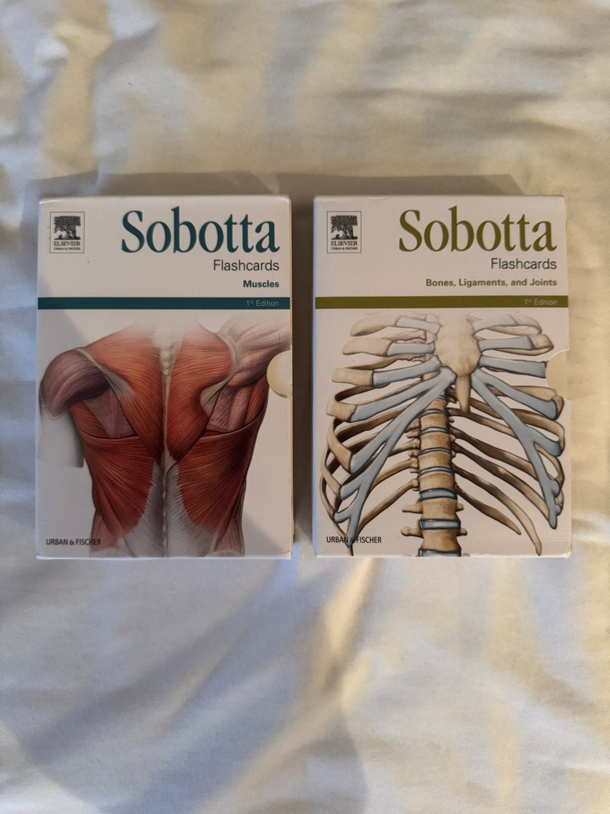 2 Sobotta Flashcards anatomie van Elsevier Urban & Fischer., Boeken, Studieboeken en Cursussen, Zo goed als nieuw, Hoger Onderwijs