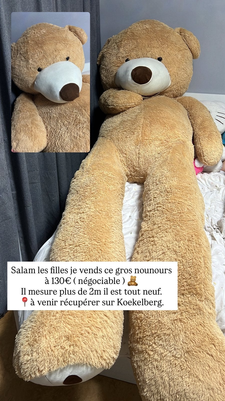 Gros nounours de plus de 2 metres, Enlèvement, Neuf