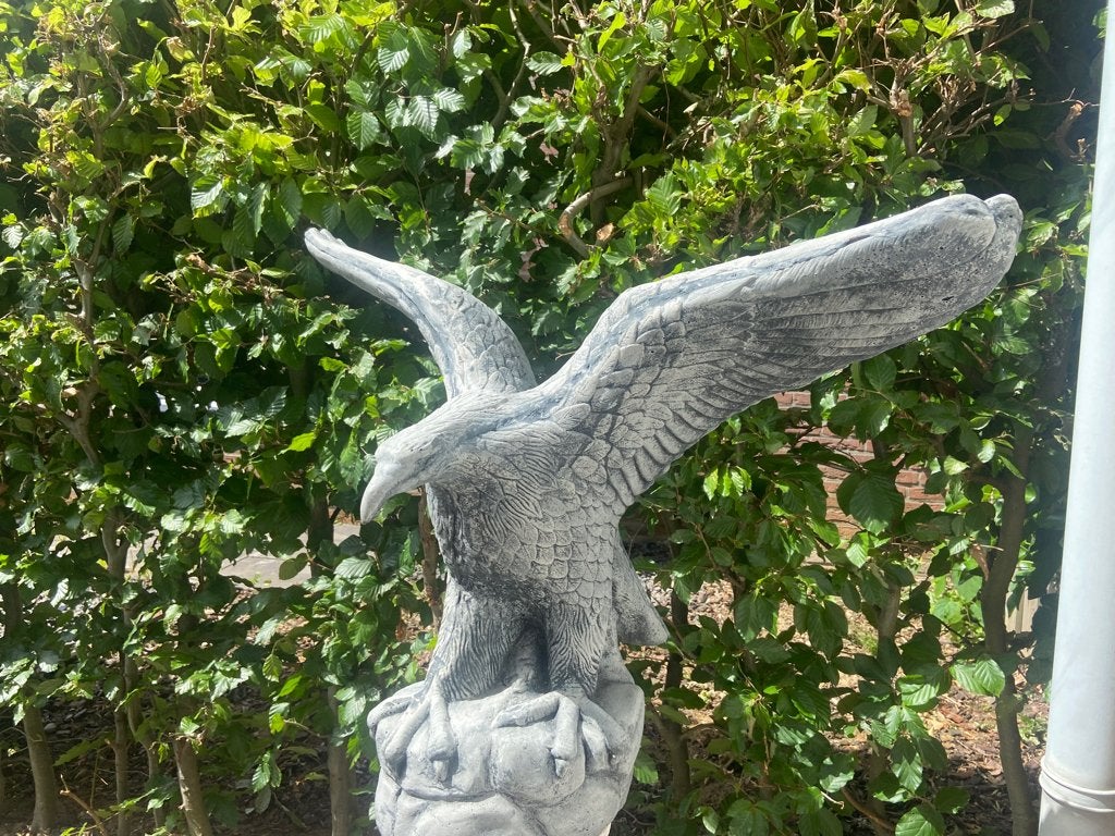 Aigle, Enlèvement, Neuf, Béton, Animal