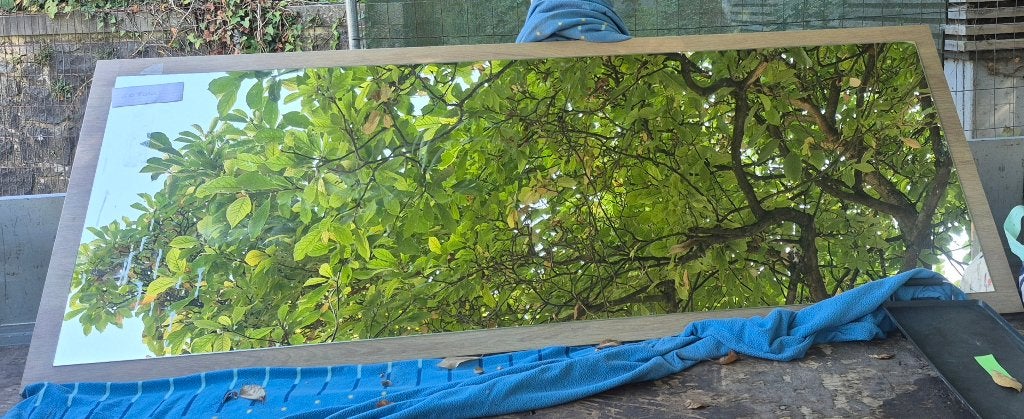 Grand Miroir, Maison & Meubles, 125 cm ou plus, Moins de 100 cm, Comme neuf, Enlèvement