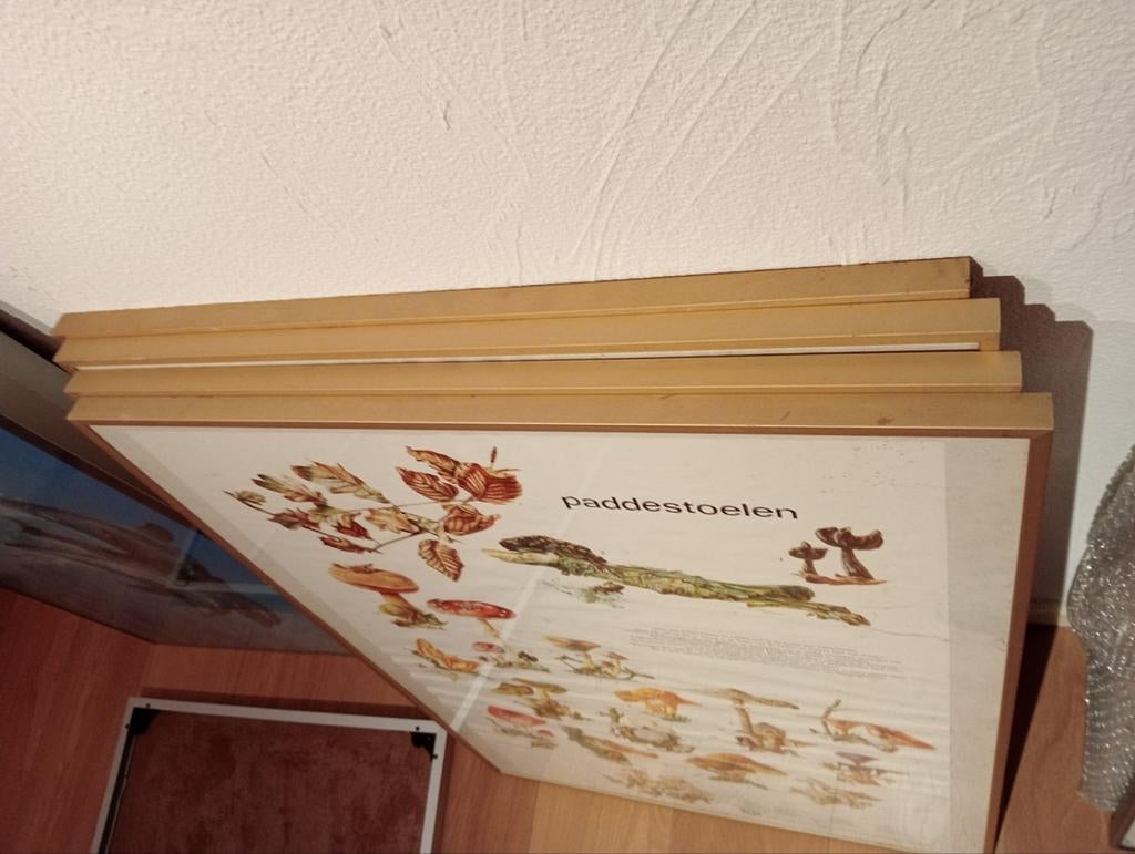 8 zeer grote kaders / fotolijsten / lijsten voor schilderij, Huis en Inrichting, Woonaccessoires | Lijsten, Ophalen