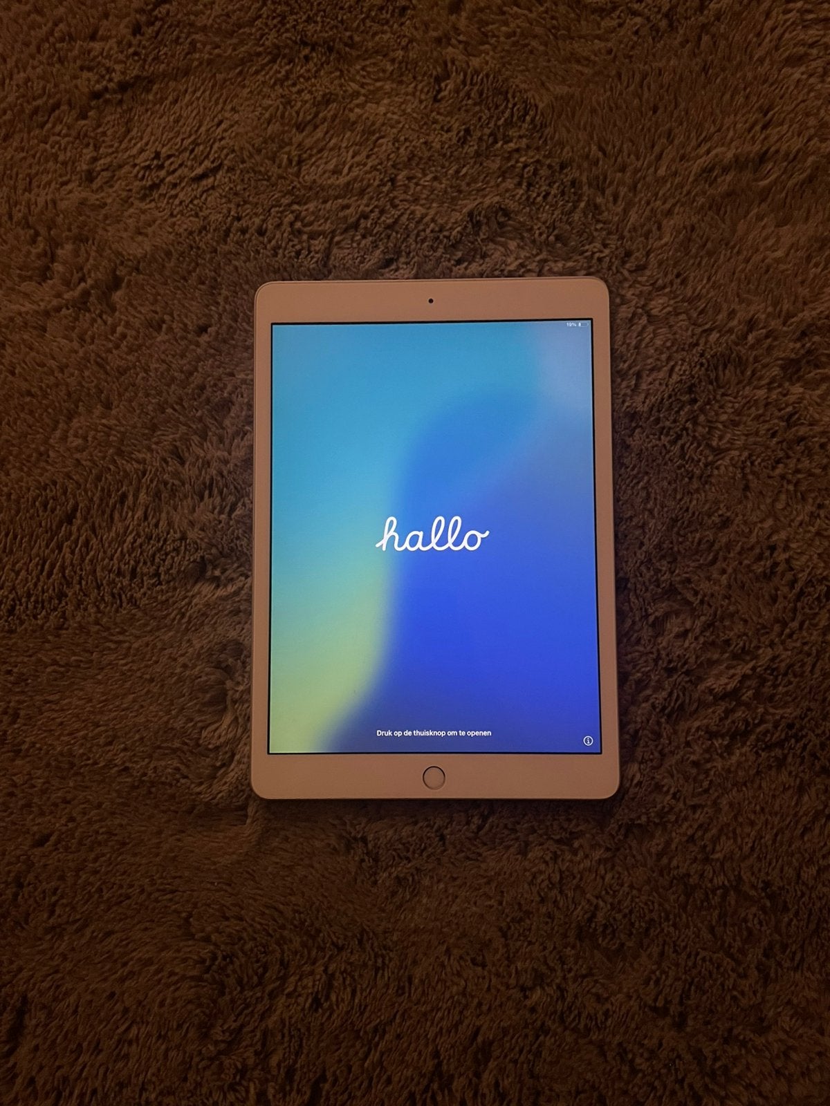 Ipad 6e generatie (2018), Ophalen, Gebruikt, Zilver, 20 tot 40 GB