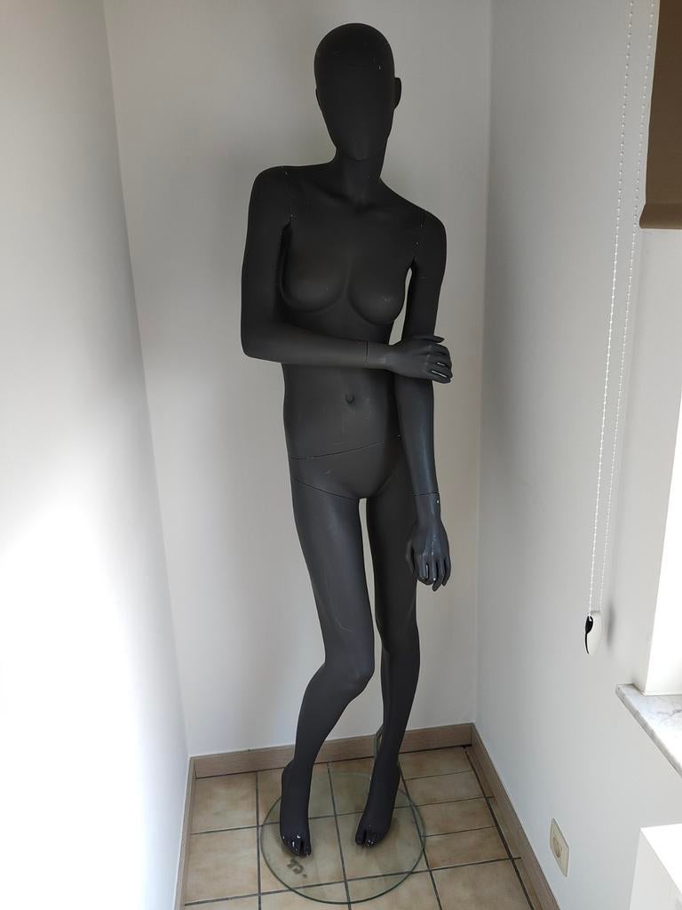 Paspop vrouw hans boodt, Enlèvement