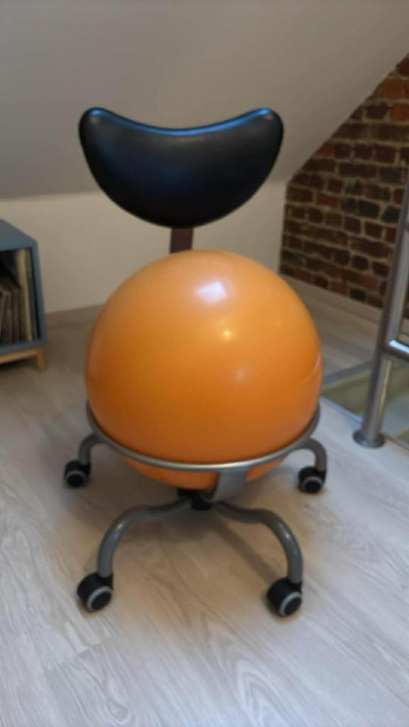 Pallosit Ergonomische bureaustoel (kind/puber), Enlèvement, Comme neuf, Chaise de bureau