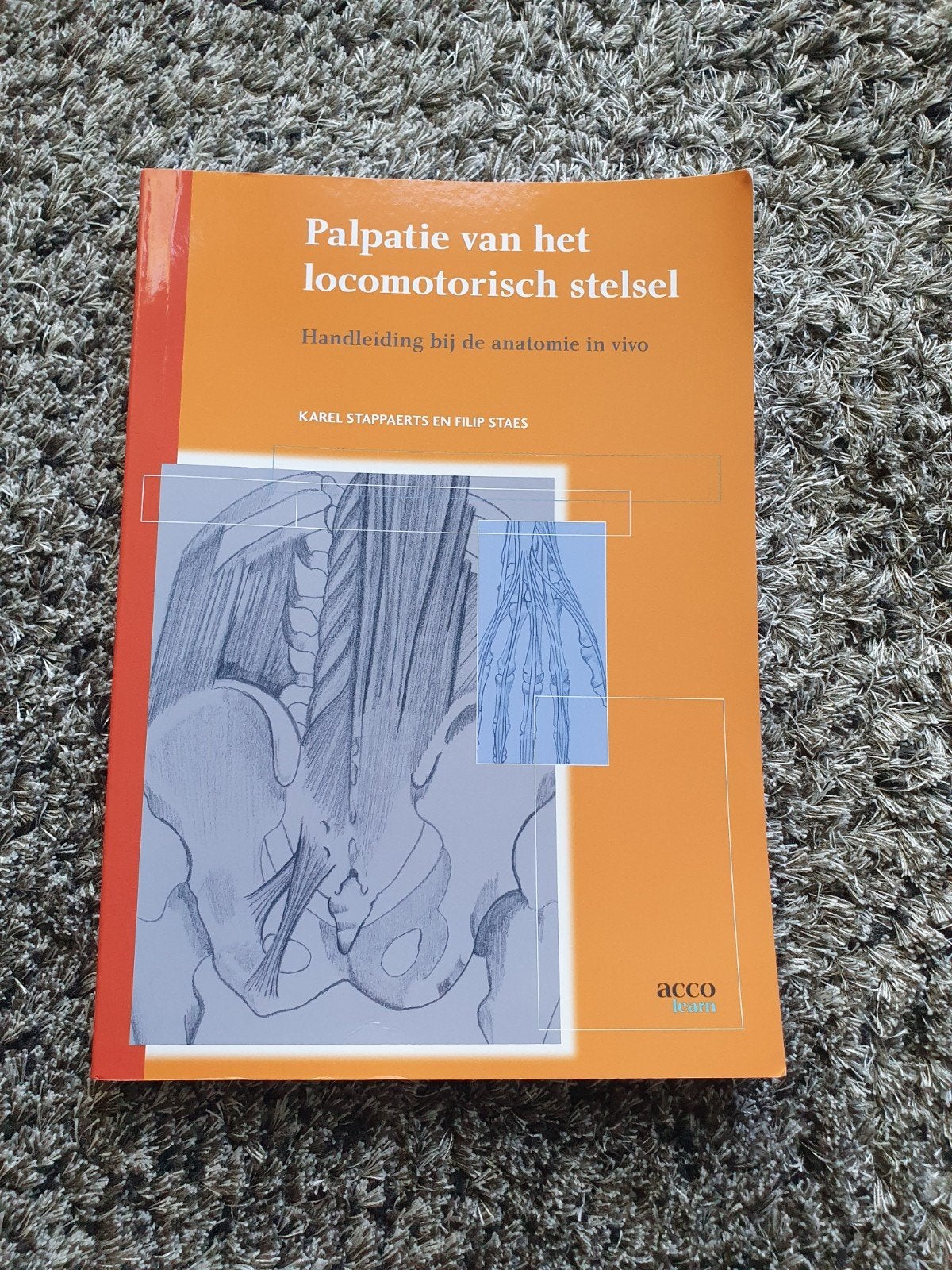Palpation de l'appareil locomoteur - F. Staes, Enlèvement ou Envoi, Enseignement supérieur professionnel, Comme neuf, F. Staes; K. Stappaerts