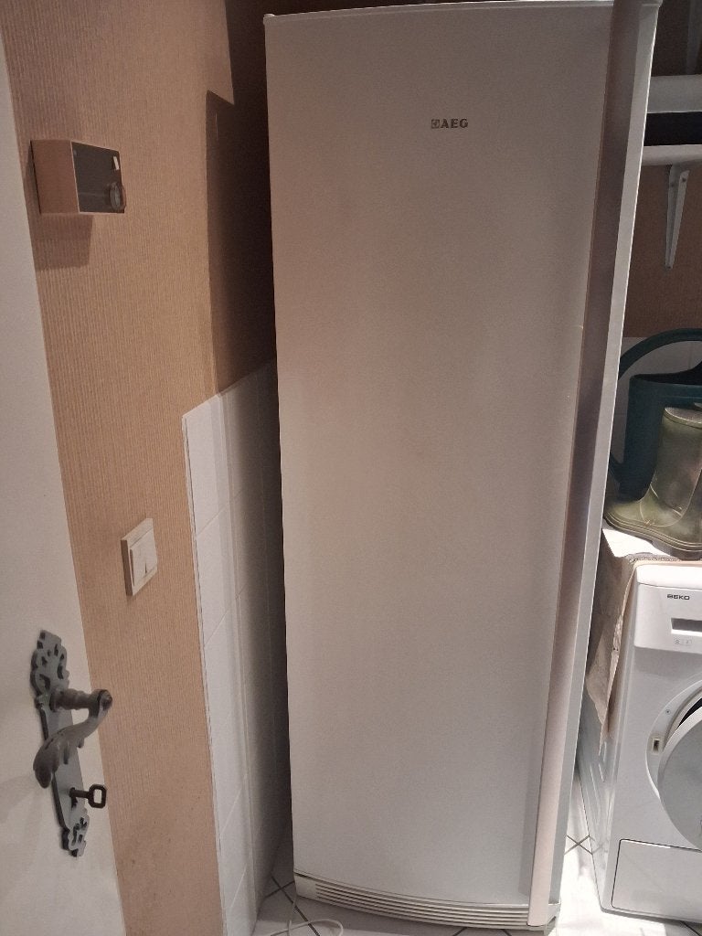 diepvries, Electroménager, Congélateurs, Congélateur, 160 cm ou plus, Enlèvement, Utilisé