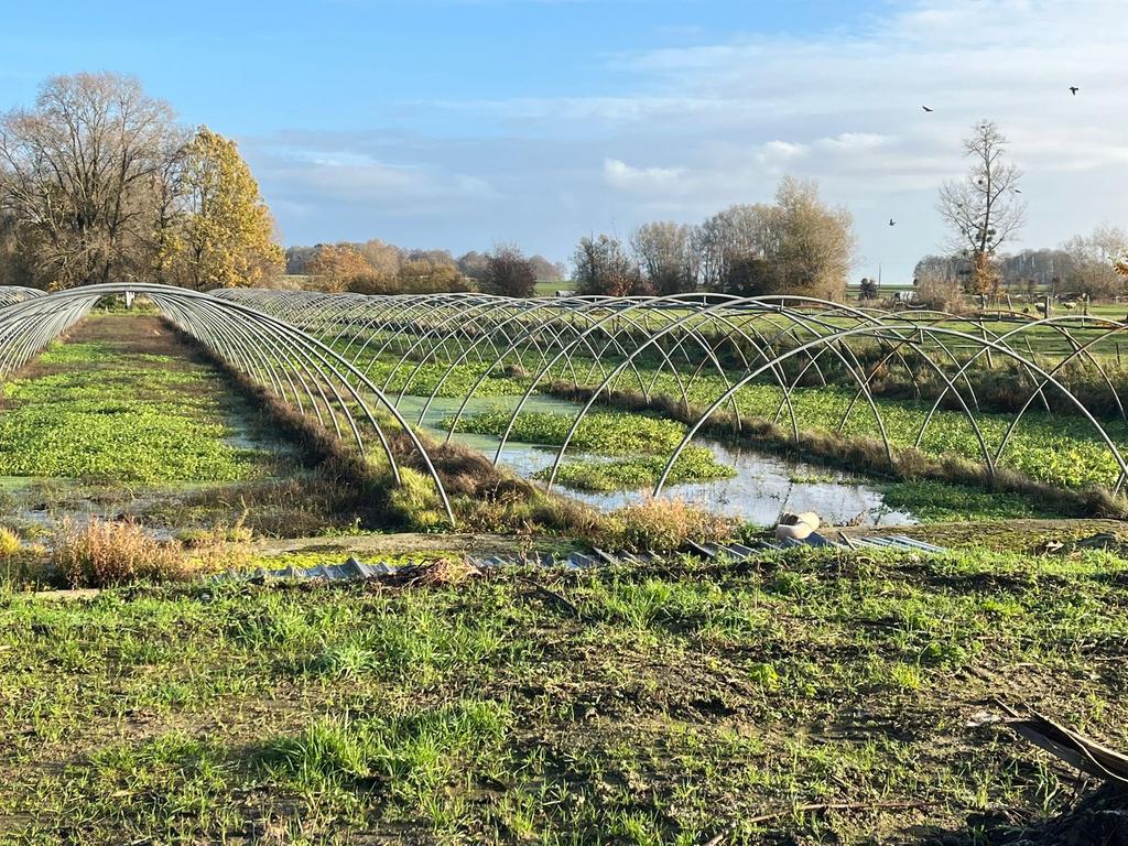 Bogen in de tunnelkas, Ophalen, Kweekkas