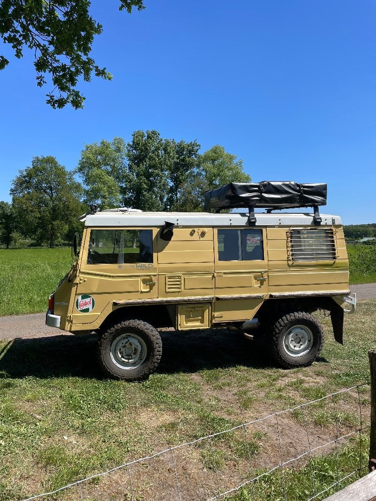 Steyr Puch Pinzgauer 710K, Autos, Achat, Boîte manuelle, Beige, 5 portes