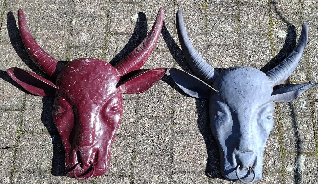 decoratieve stierenkop, Ophalen of Verzenden, Gebruikt