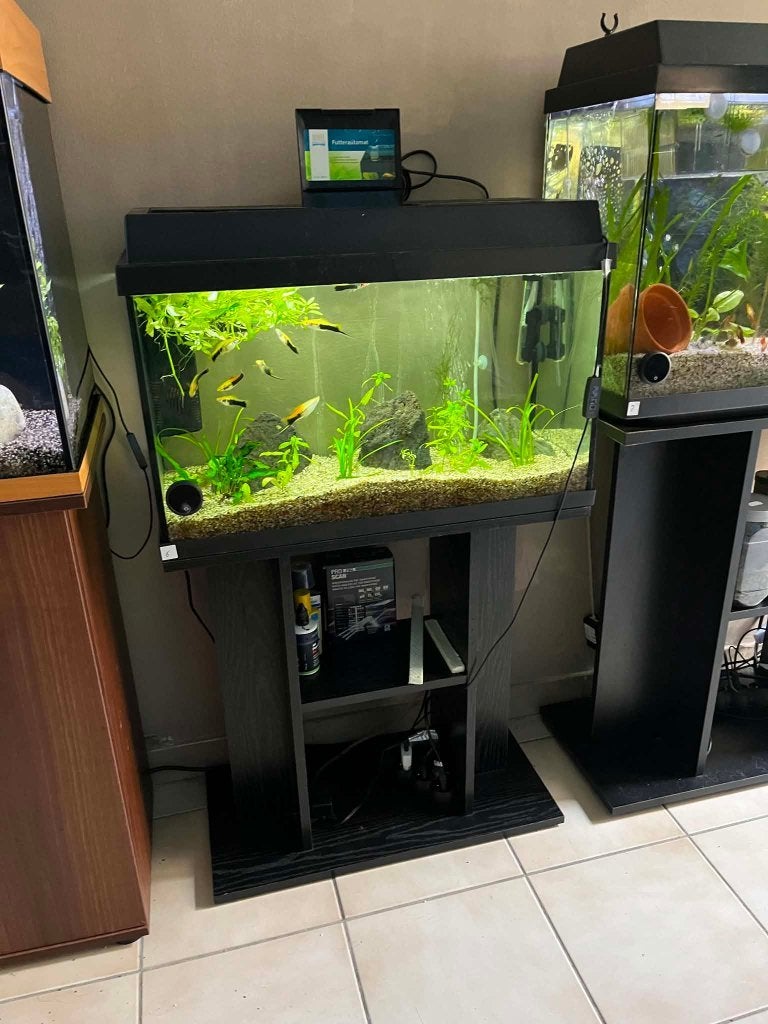 AQUARIUM JUWEL 60CM, Dieren en Toebehoren, Vissen | Aquaria en Toebehoren, Ophalen, Gebruikt, Leeg aquarium, Juwel