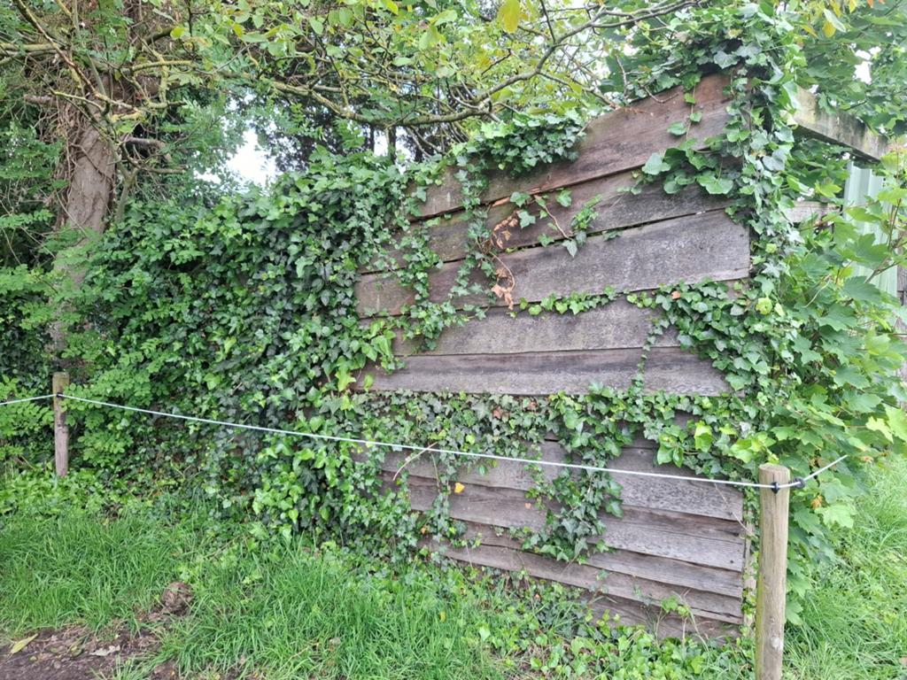 Gratis stal of hout, Tuin en Terras, Ophalen, Hout