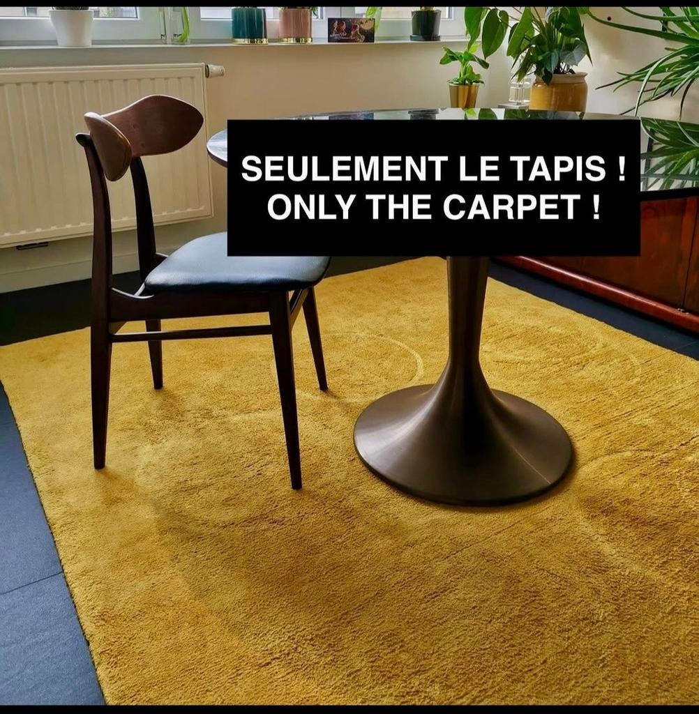 Tapis 170x230 la redoute, Ophalen, Tapijt