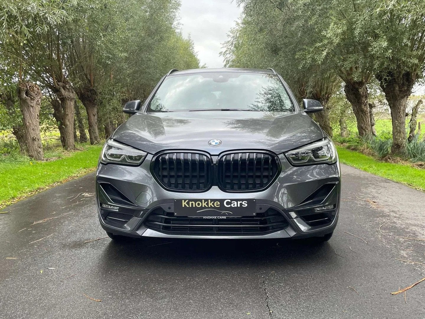 BMW X1 Plug in Hybrid,X-Drive 25e Sportline,Sportzetel,Parke, Auto's, https://public.car-pass.be/vhr/dff1aee6-c649-42a0-ad72-4e0d52608162