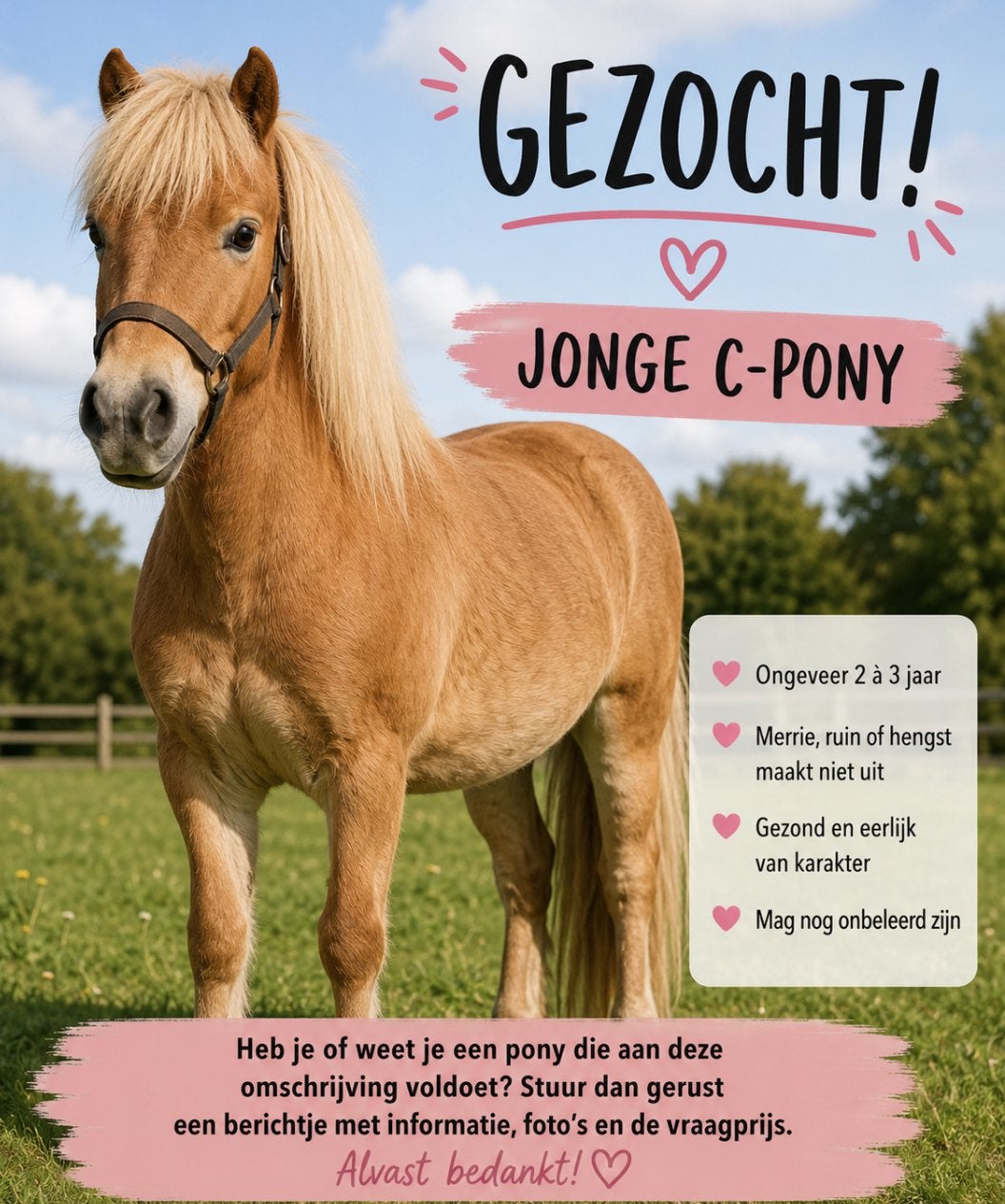 Pony gezocht, Dieren en Toebehoren, Ophalen of Verzenden