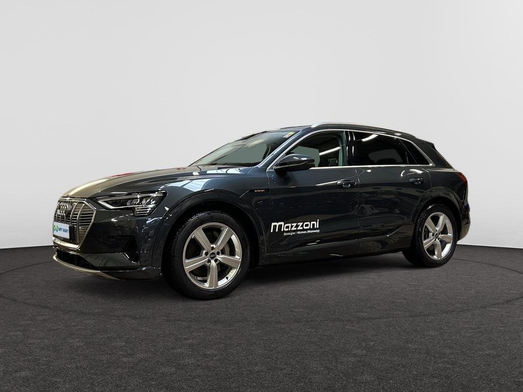 Audi e-tron E-Tron 95 kWh 55 Quattro Advanced, Autos, Achat, https://public.car-pass.be/vhr/2013e01e-2771-4dc4-850c-6d559fd53e6e