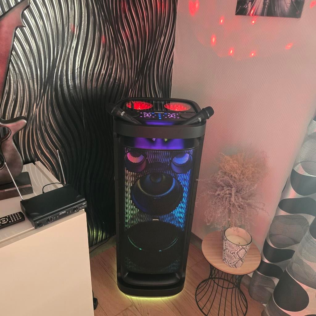 Enceinte karaoké de forte puissance, Enlèvement