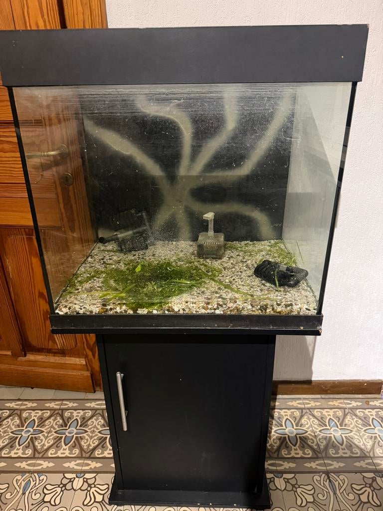Aquarium juwel 120, Pompe, Aquarium vide, Enlèvement, Utilisé