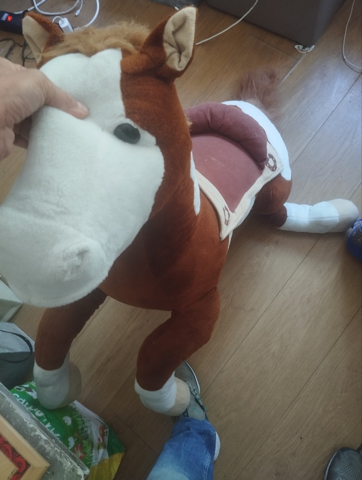 nounours, Enlèvement, Cheval