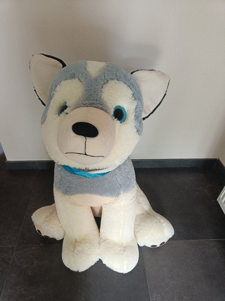 GRATIS Grote knuffel hond, Ophalen, Gebruikt, Hond
