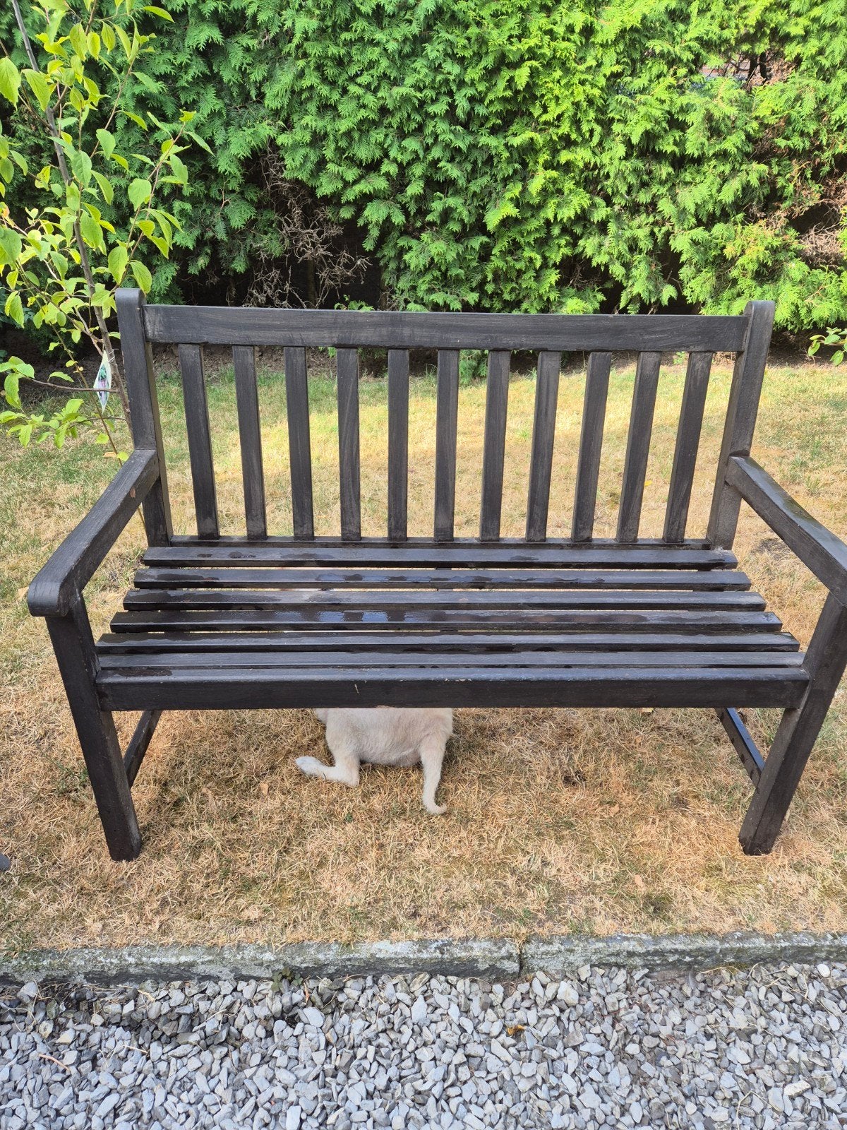 Houten tuinbank 20 euro, Ophalen, Gebruikt
