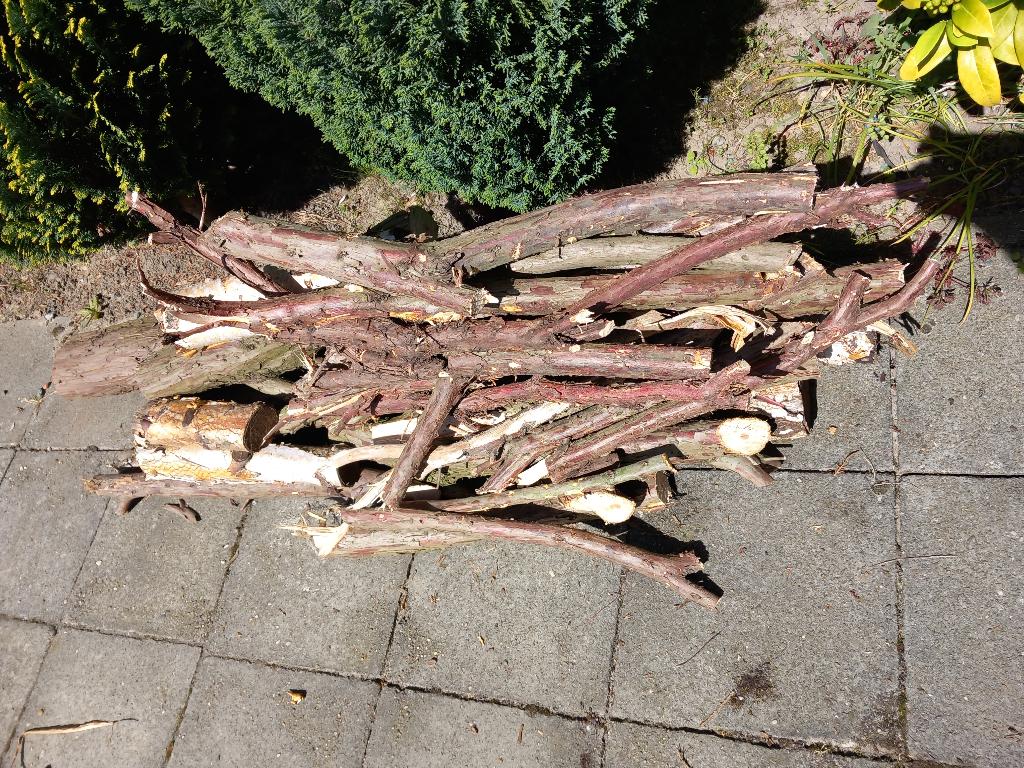 Gratis brandhout, Minder dan 3 m³, Ophalen, Overige houtsoorten, Takken