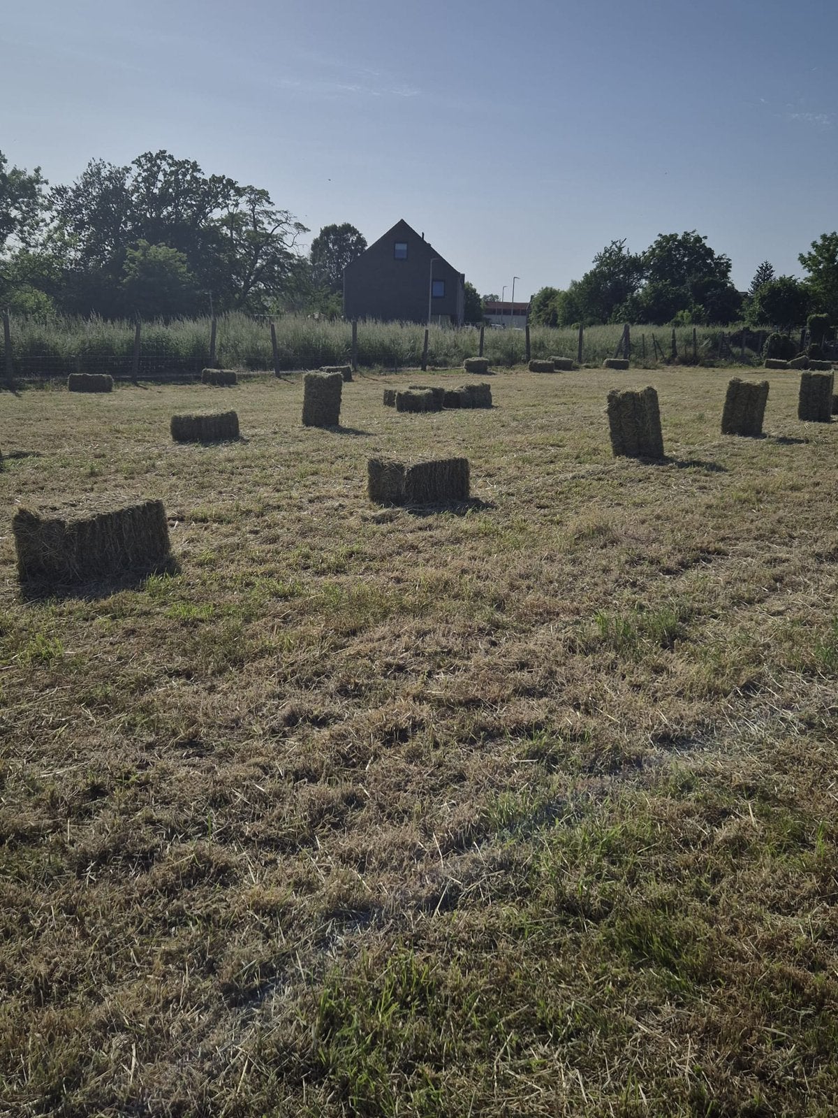 Vers hooi, Dieren en Toebehoren, Ophalen