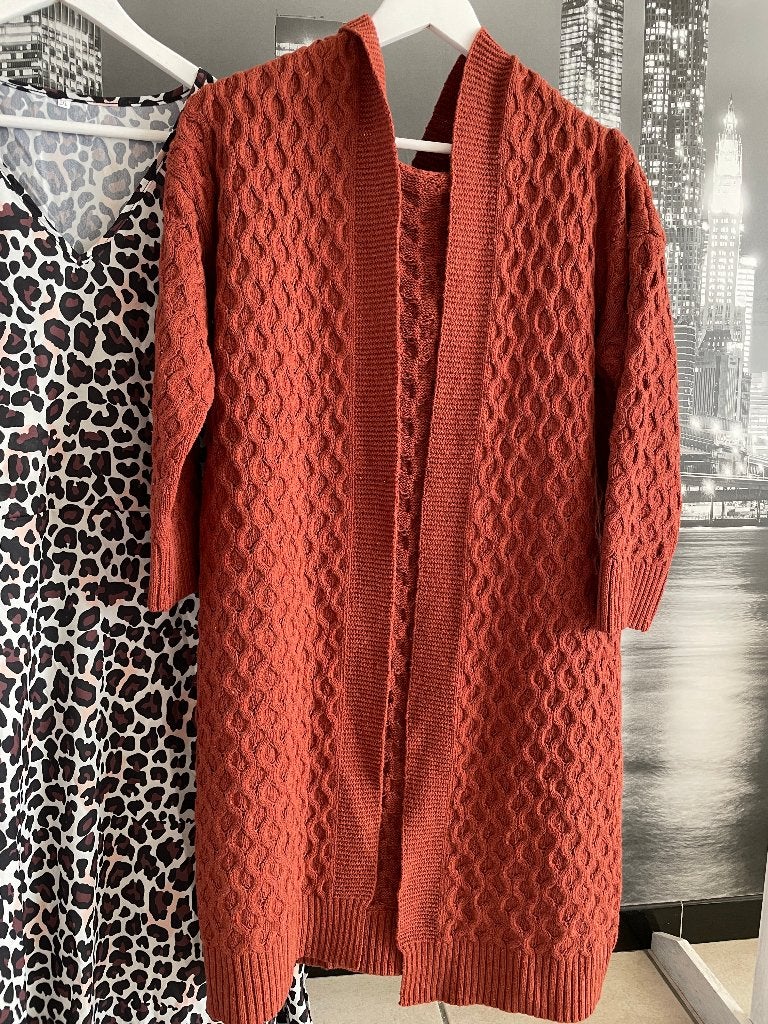 Pull trui cardigan 42 dames - GRATIS kleedje luipaardprint, Verzenden, Zo goed als nieuw, Maat 42/44 (L), Bruin