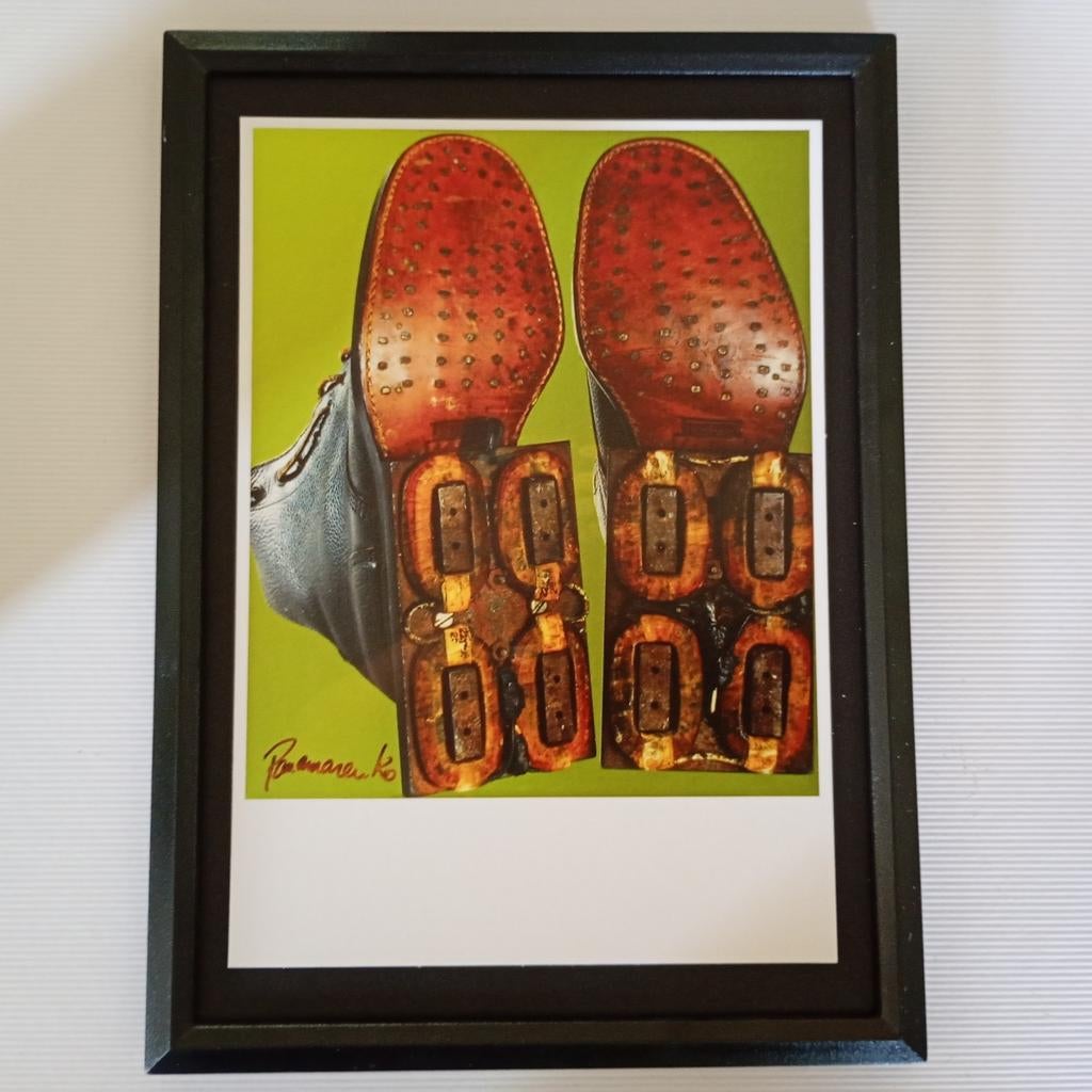 Magnetische schoenen van Panamarenko, Ophalen of Verzenden