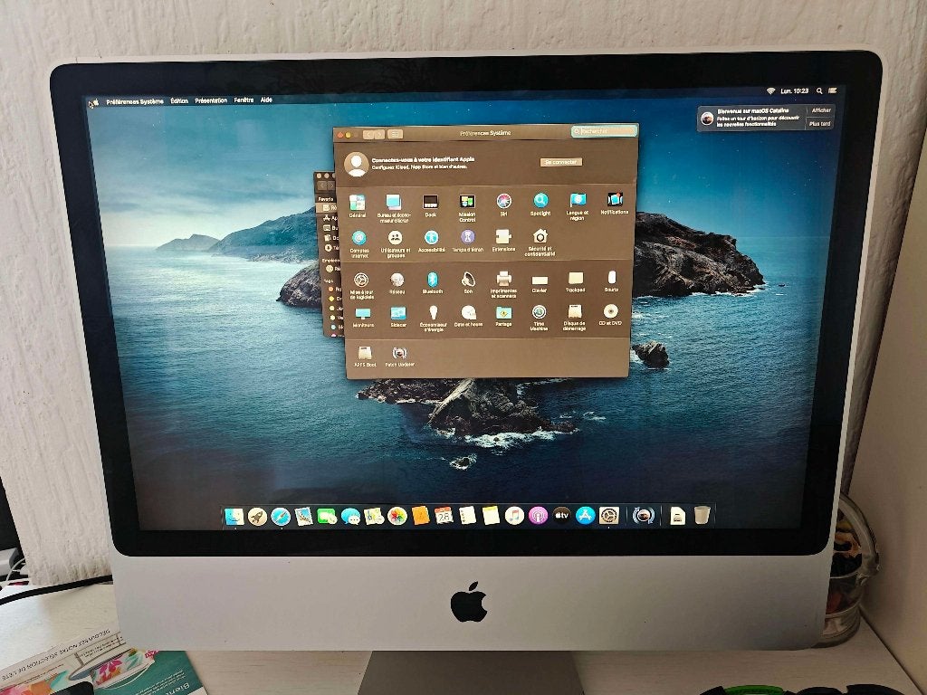iMac 2008 24", Computers en Software, Desktop Pc's, Gebruikt, 2 tot 3 Ghz, HDD, 4 GB, Met videokaart, Met monitor, Ophalen