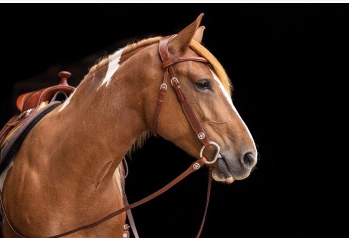 Bridlery hoofdstel full, Animaux & Accessoires, Chevaux