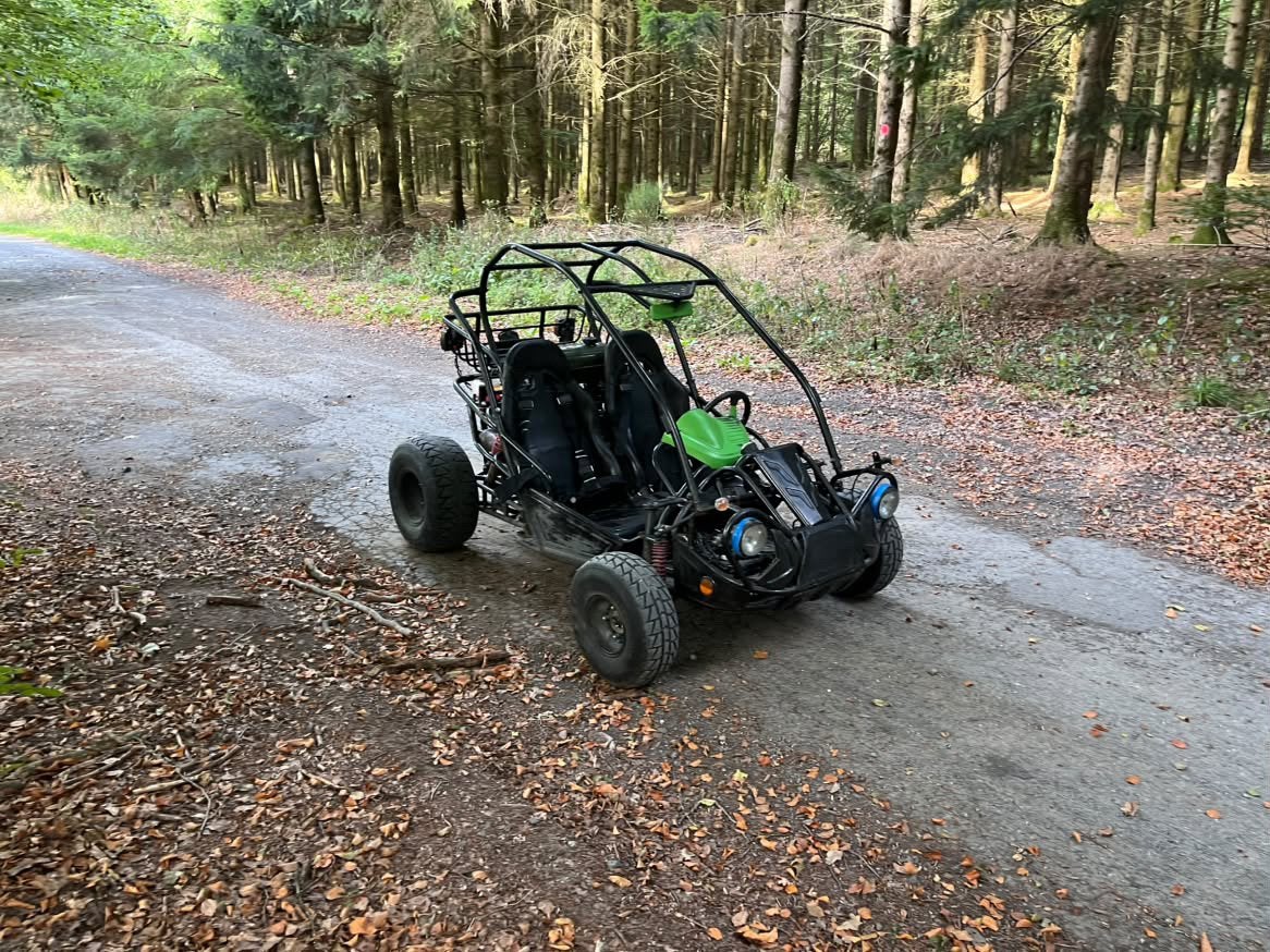 Buggy PGO Bugrider 250cc, Jusqu'à 11 kW, 1 cylindre, 250 cm³