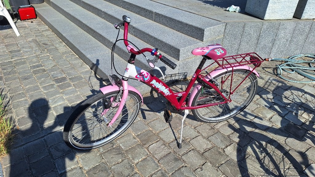meisjesfiets roze 24 inch, Ophalen, 24 inch, Velgrem, Papillon