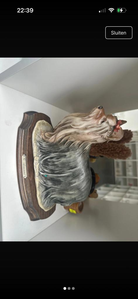 Italiaanse hond, Enlèvement